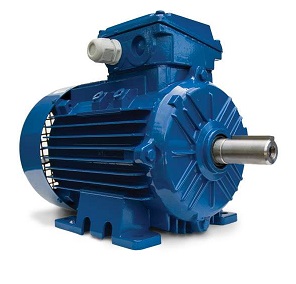Three Phase General Purpose Electric Motors IEC